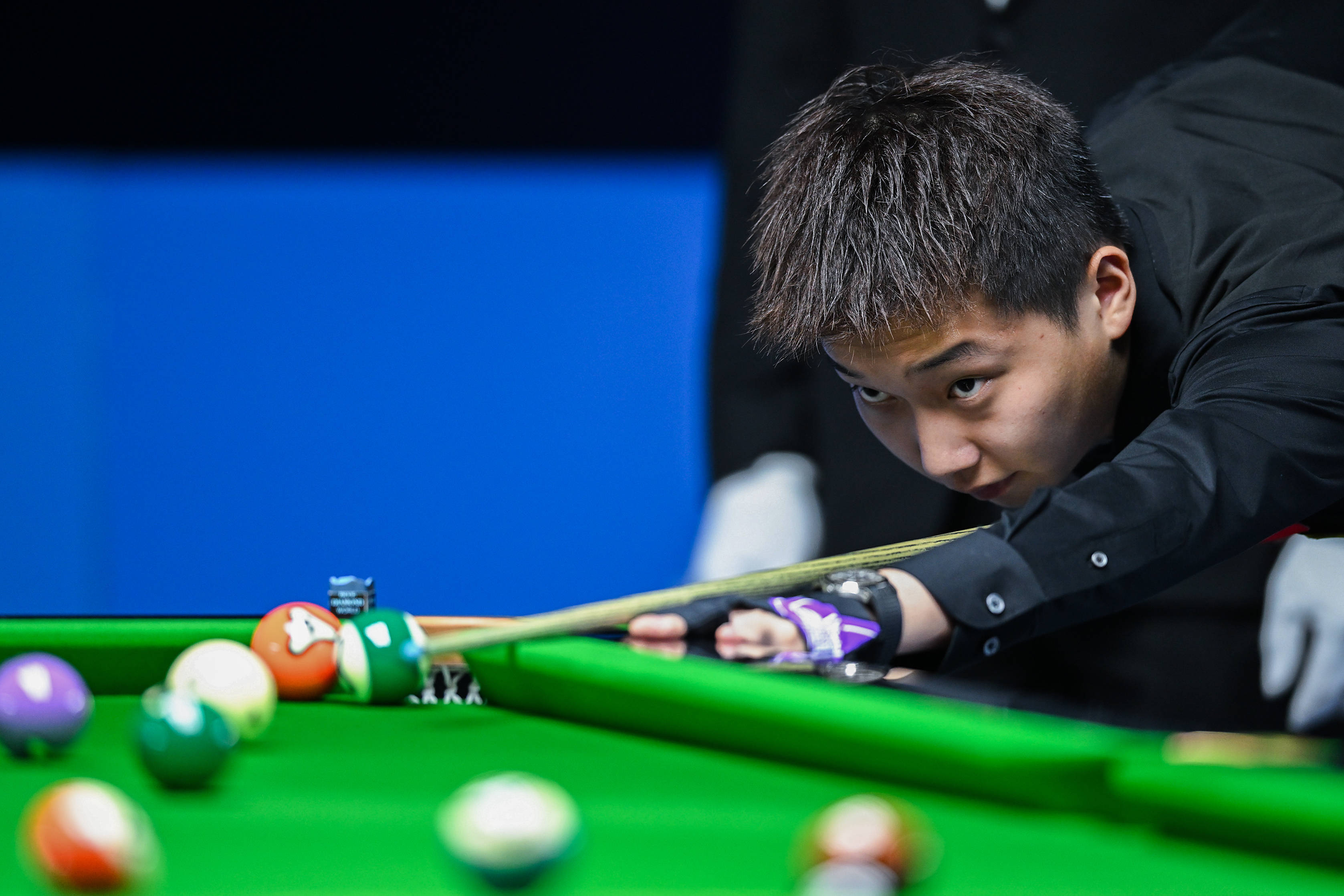 了布朗尼的 了布朗尼的