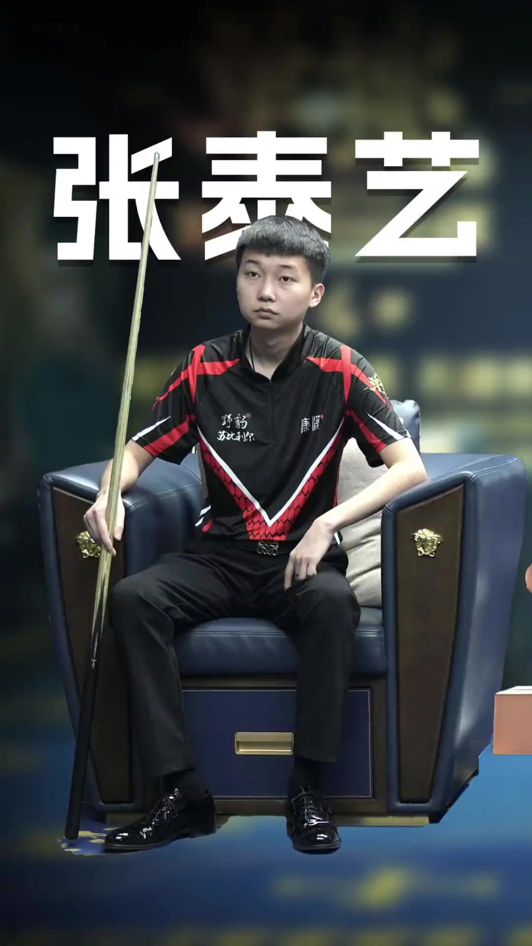 其中既有老 其中既有老