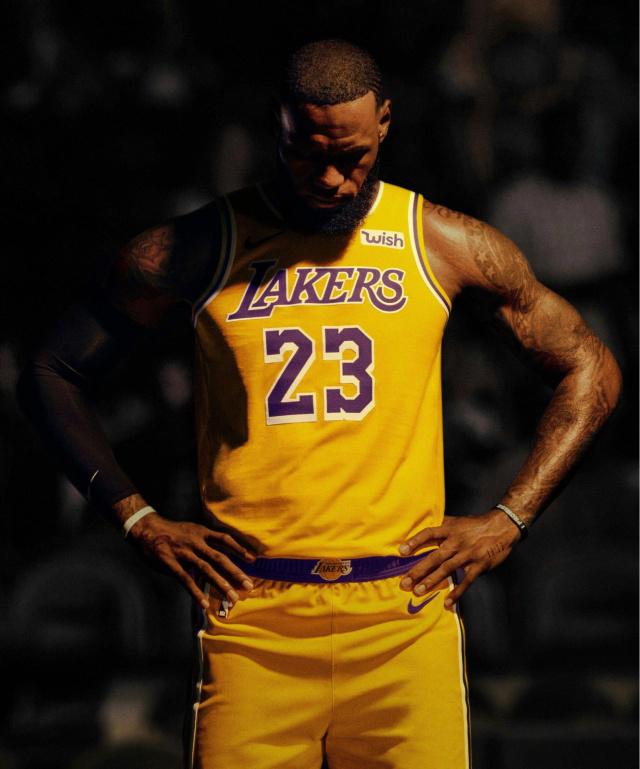 案例参照 案例参照